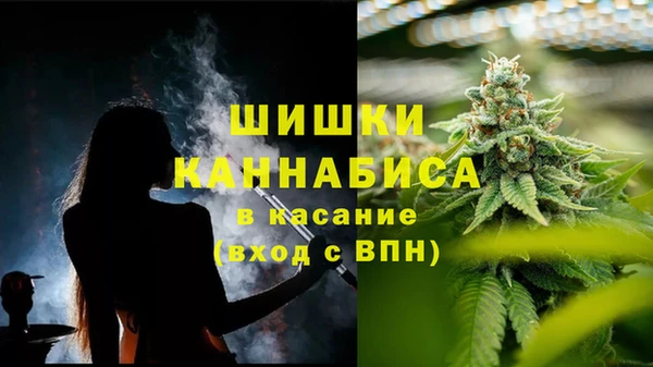 прущая мука Бородино